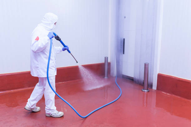 Professional Pressure Washing Services in Hastings On Hudson, NY